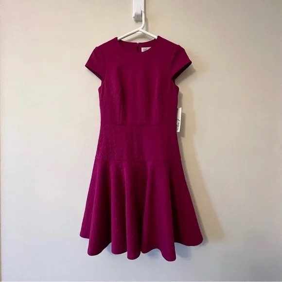 Eliza J Size 2 Fit & Flare address Fuchsia - Picture 4 of 13